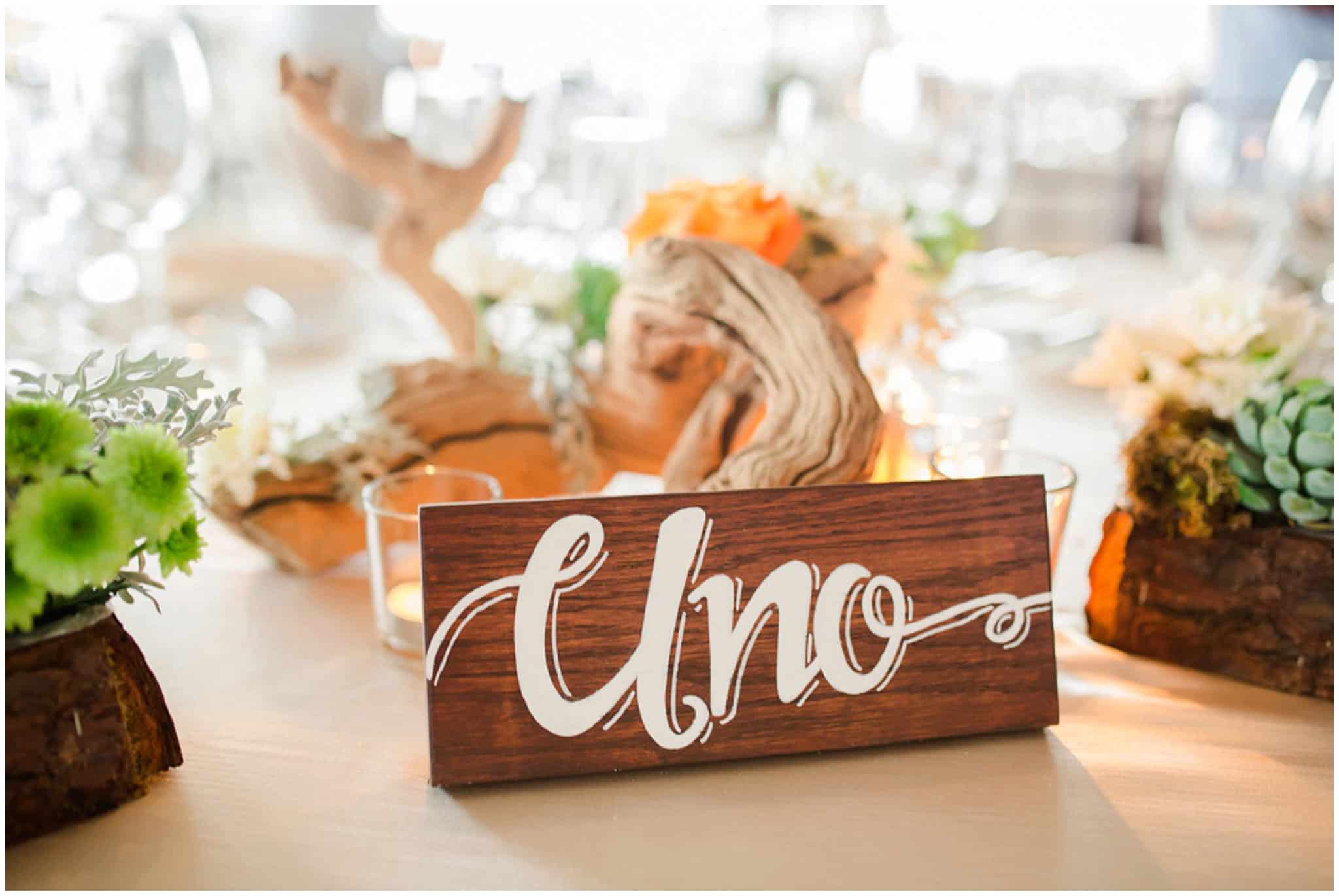 Cabo-Wedding-Photographer---Sara-Richardson_1231